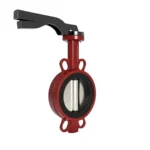 kelebekvana1024x1024mm1